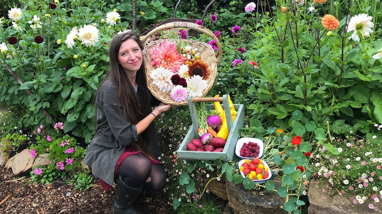 August Allotment Garden Tour + Harvest 2020