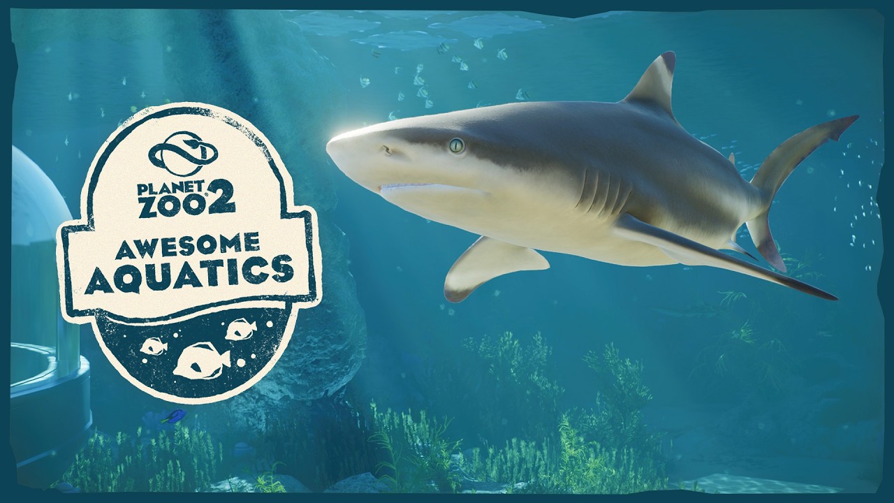 Planet Zoo 2 prend l'eau dans un second Feature Focus