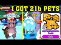 I Got New 27b Pet In Christmas Event On Arm Wrestling Simulator (Roblox)!