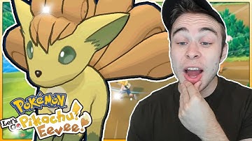 SUPERSNELLE GLANZENDE VULPIX! Pokémon Let