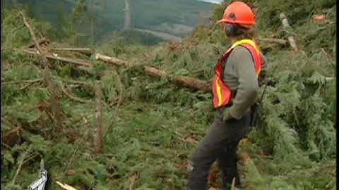 Heli-Logging (5 of 8): Safe Turns