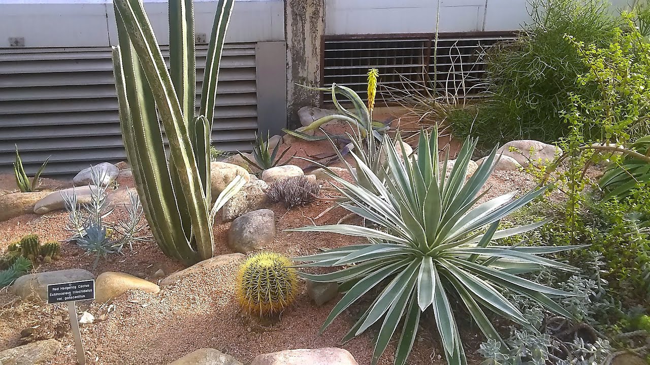 Restaurants in Fort Wayne, United States You MUST TRY in 2021