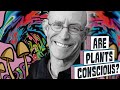 My First Trip at 60 | Michael Pollan &amp; Joe Rogan On Psychedelics &amp; Plant Consciousness