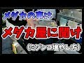 メダカ屋が教えるミジンコの増やし方！メダカの事はメダカ屋に聞け！【Japanese Medaka】