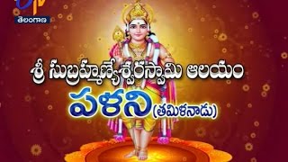 Sri Subrahmanyeswara Swamy Temple | Palani | Tamil Nadu | 5th December 2016 | Full Ep | ETV TS