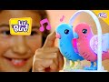 Little live pets  lil bird  tvc 15