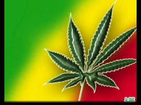 zona ganjah - fumando vamos a casa!!