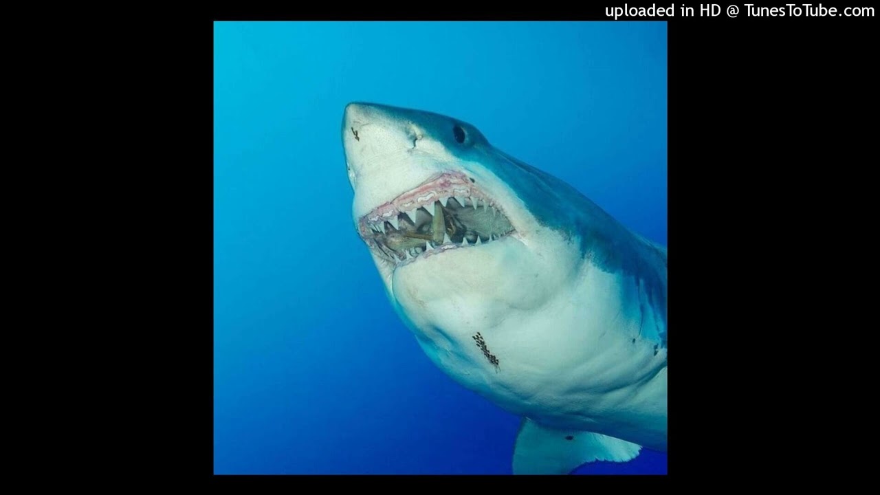 free hardrock type beat 260625