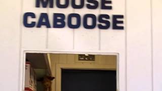 Moose on the Loose from "Ozokidz" by Ozomatli