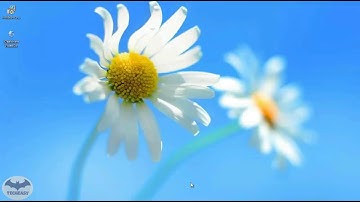 how to Convert FLAC to Windows Media Player