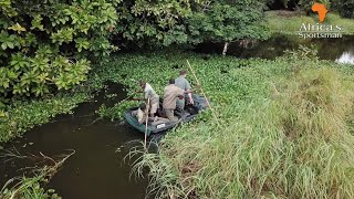 Crocodile recovery attempt, and looking for Hippo in Mozambique