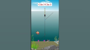 cách cân phao câu đài - Cân 3 câu 3 #cauca #caucathugian #cachcanphao