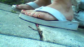 red toes white flipflops bare feet