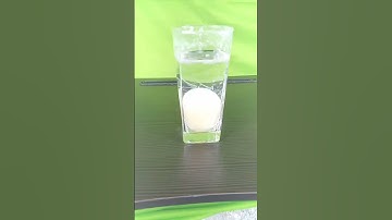 Vinegar + Egg (24 hours)