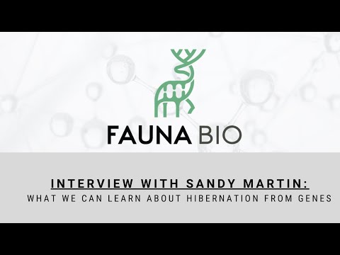 Interview with Sandy Martin: What We Can Learn About Hibernation From Genes - video from Fauna Bio