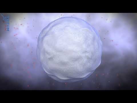Totum Sport is bioavailable & works at a cellular level | Totum Sport