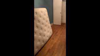412 e 73rd Apt 1B: 1 Bedroom, 1 Bathroom
