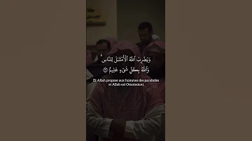 من روائع الشيخ محمد اللحيدان في سورة النور Shorts 