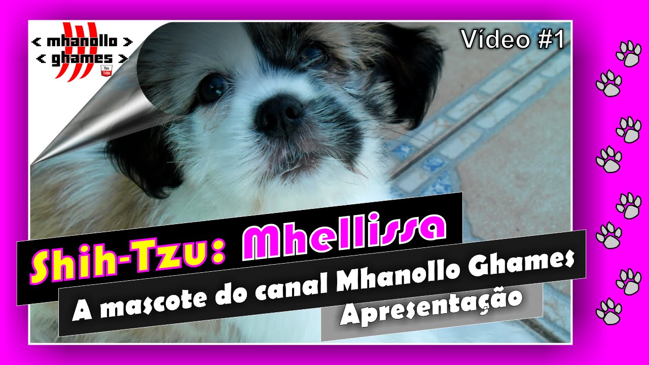 Shih Tzu: Mhellissa - A Mascote do canal Mhanollo Ghames.
