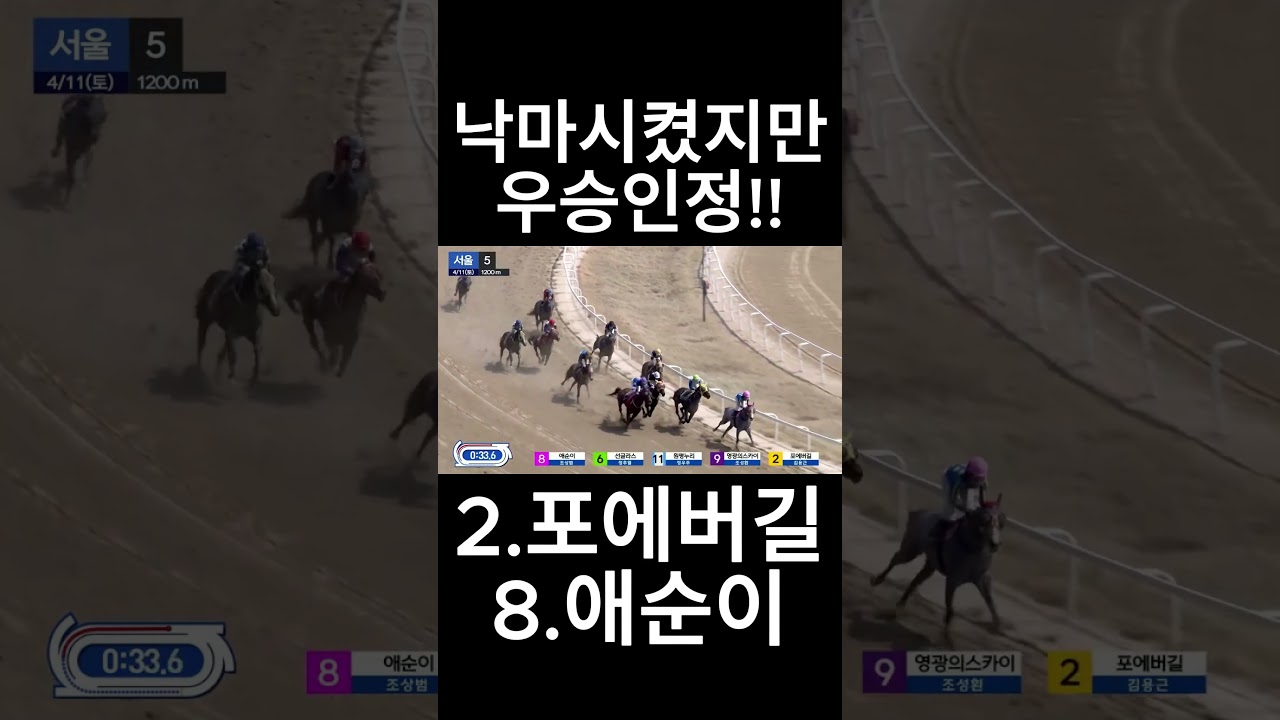 낙마시켰지만  우승인정  #경마  #경마예상  #경마방송  #경마예상방송  #서울경마  #금요경마  #토요경마  #일요경마 #경마장