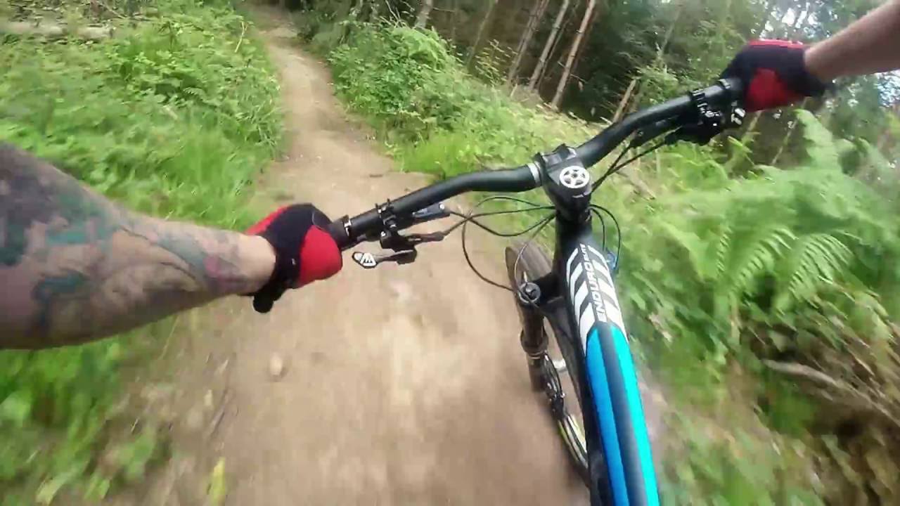 ribbesford bike park
