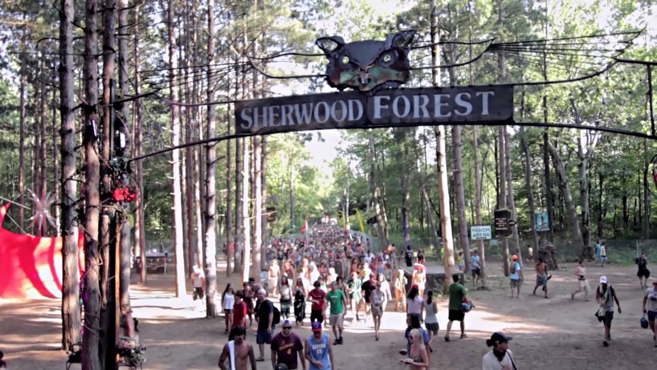 Electric Forest experience