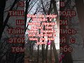 #красота #природа #деревья #рекомендации #наслаждайся #длятебя #солнце