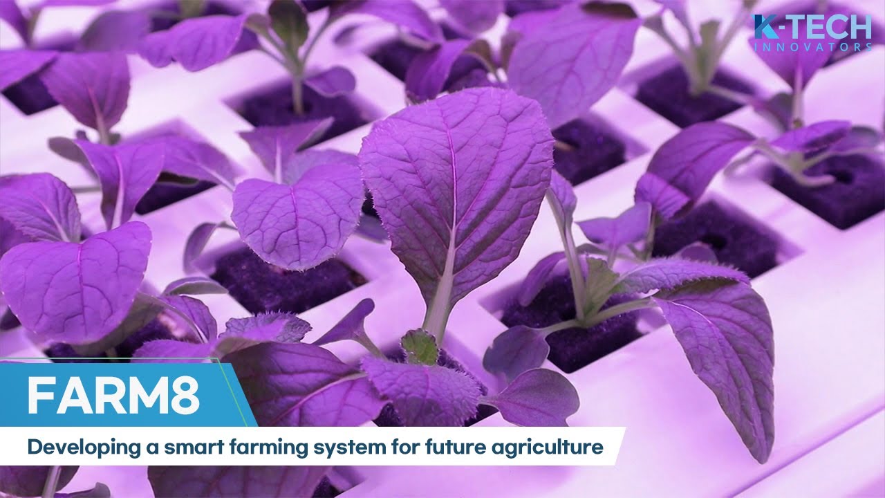 [K-Tech Innovators] Developing a smart farming system for future ...