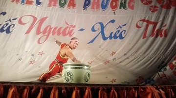 Xiếc hoa phượng