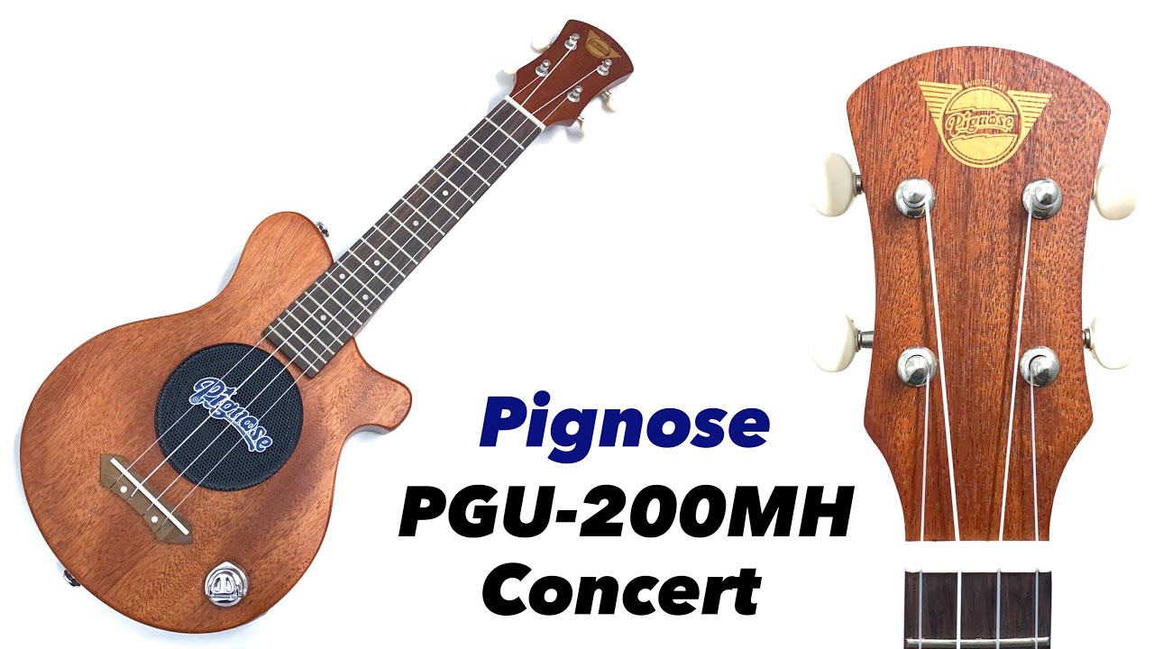 PIGNOSE　PGU-200