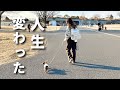 犬をお迎えしたら人生が変わったおはなし【飼主のお仕事について】