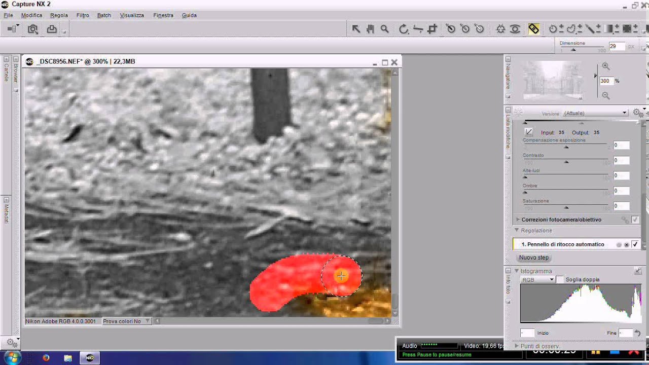 defect pixel  debayer Nikon capture nx2