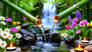 Deep Sleep Relaxing Music 🌙 Stress &amp; Anxiety Relief, Calm Mind Meditation Music