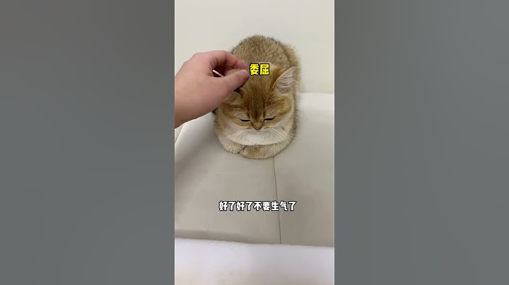 【牛奶是只猫】真猫毛棉拖就是舒服呀！！就是有点费猫哈哈哈哈哈