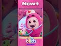 Meet 💕Newt!💕#shorts  | New Minibods Cartoons | Moonbug Kids After School