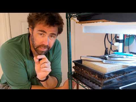 Cutting Experiment Video #1 - Introduction