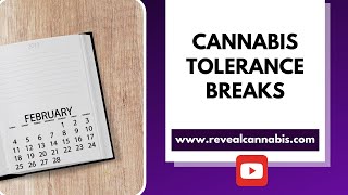Cannabis Tolerance Breaks