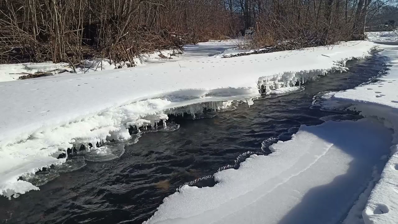 Успокаивающая мелодия ручья.  (The soothing melody of the stream.)