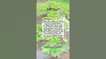 سورة المائدة ٢٠_٢١ #قرآن #قرآن_كريم #اكسبلور #quran #قران #قران_كريم #قرأن