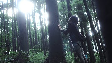 ダリー・マルサン（予告）