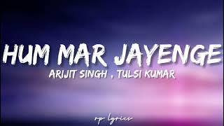 🎤Arijit Singh , Tulsi Kumar - Hum Mar Jayenge Full Lyrics Song | Aashiqui 2 |