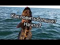 Теория и практика ловли на силиконовые приманки.Ловля бычка на море.