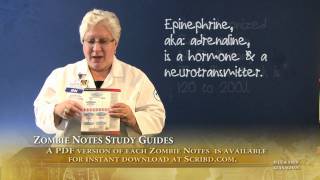 Cardiac Arrest Algorithms Update for 2011
