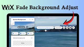 How to change opacity of background image in Wix