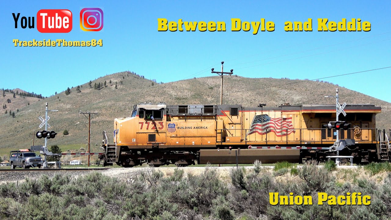 Between Doyle and Keddie