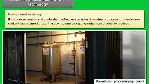 Ch 11 - Biotechnology : Principles and Processes | Processes of recombinant DNA technology 4