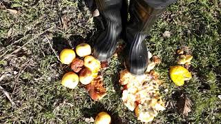 Rubber boots vs apples 10