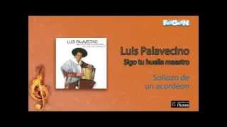 Miniatura del video "Luis Palavecino / Sigo tu huella maestro - Solloso de un acordeón"
