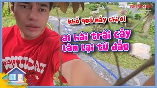 Hậu s.ậ.p nhà, vợ chồng Dương Lâm - Quỳnh Quỳnh đi lụm trái cây bán lấy tiền tu sửa nhà cửa