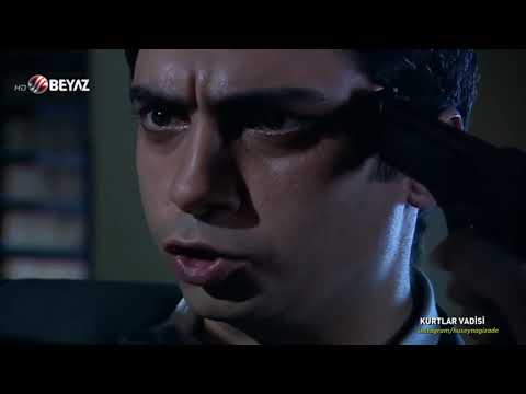 Polat Alemdar ve